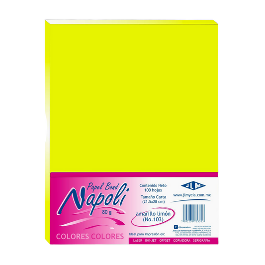 Hojas de Color Mate Tamaño Carta JLM Paquete con 100 Hojas