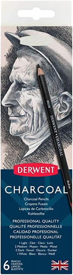 Estuche con 6 Lápices de Carbón Derwent + Sacapuntas