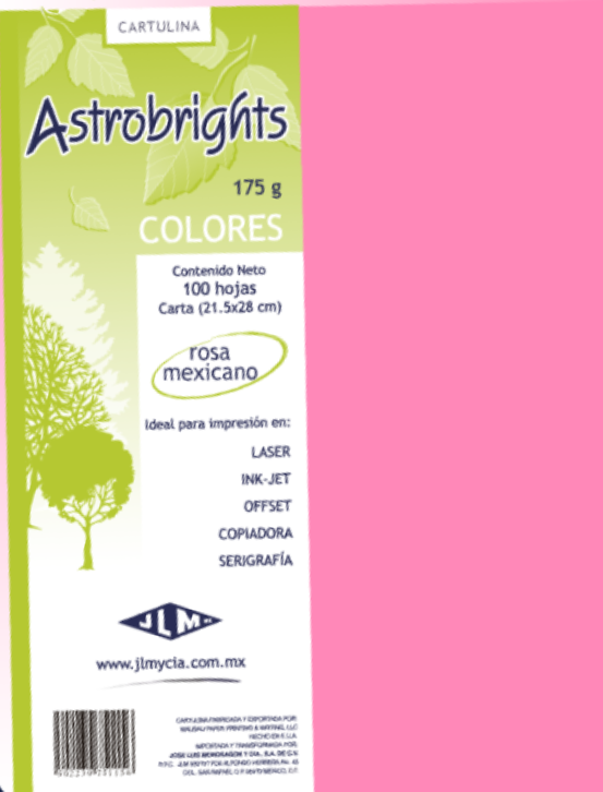 Hojas de Color Mate Tamaño Carta JLM Paquete con 100 Hojas