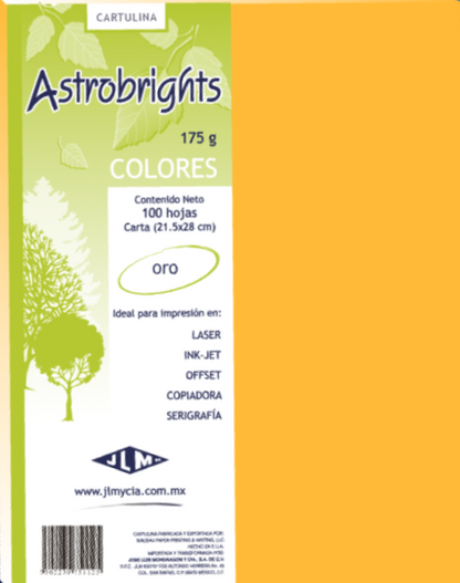 Hojas de Color Mate Tamaño Carta JLM Paquete con 100 Hojas