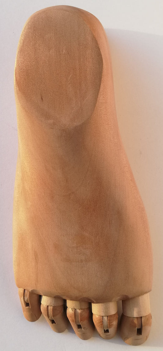 Maniqui Modelo Pie Derecho